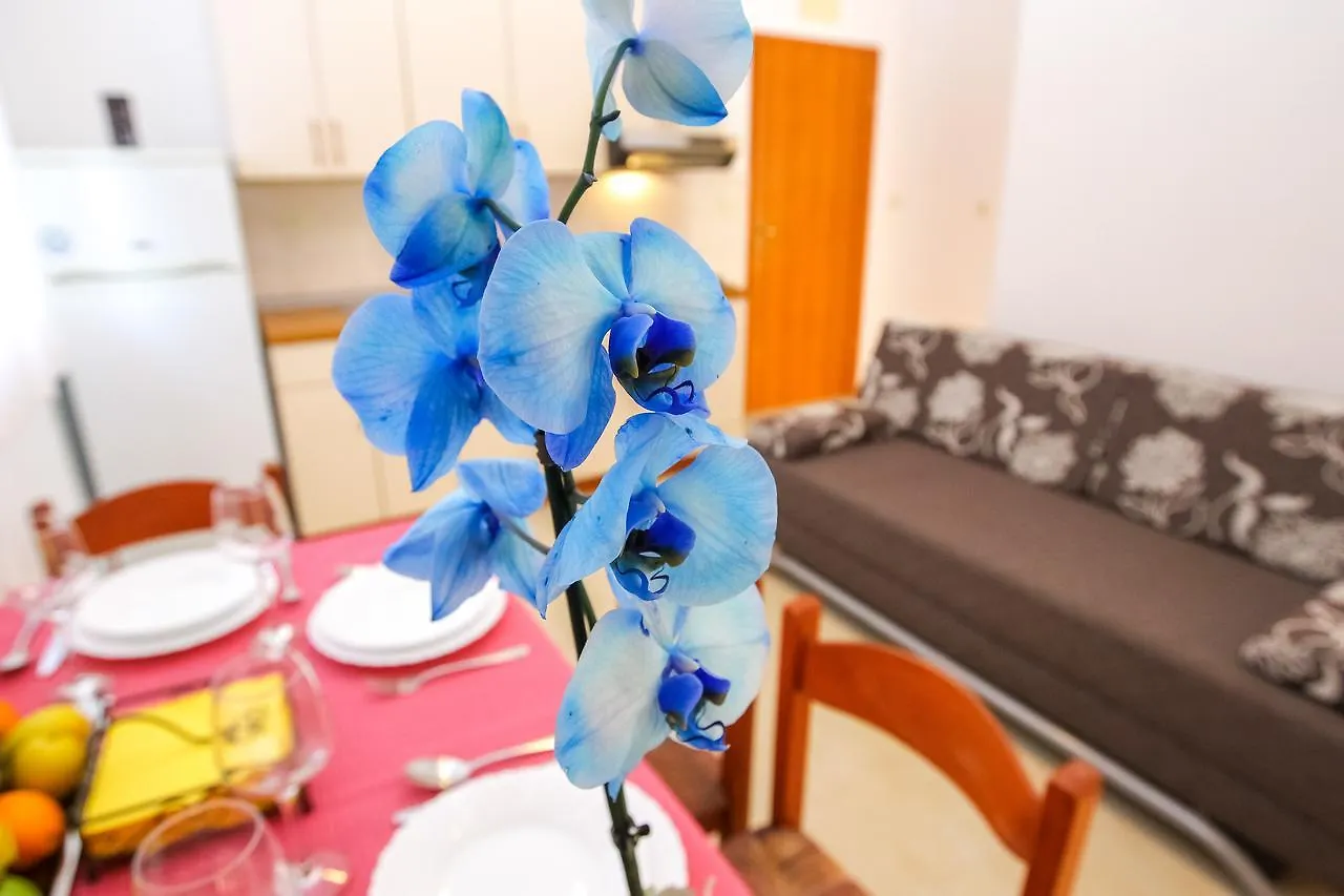 Apartments Martina Pakostane